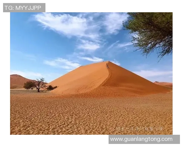 南非与纳米比亚激战正酣谁能在这场较量中笑到最后